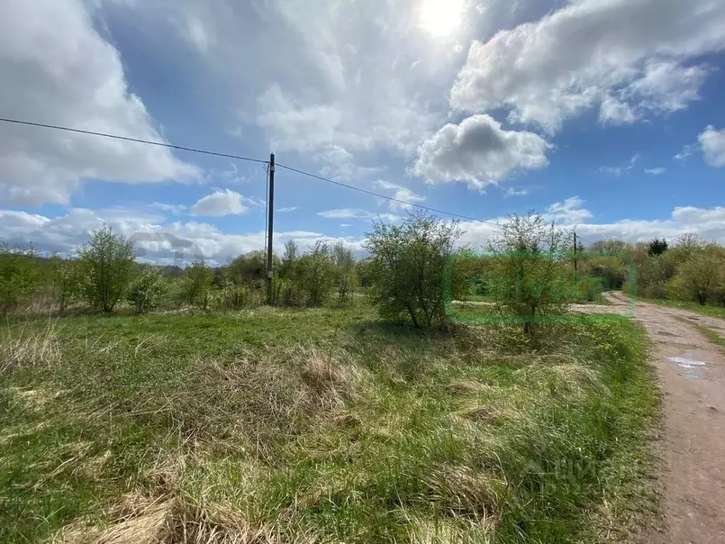 Участок в Калининградская область, Гурьевский муниципальный округ, ... - Фото 2