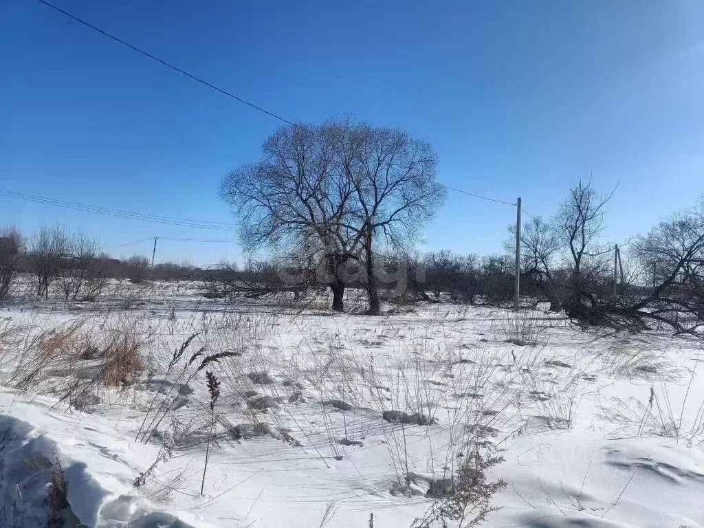 Участок в Амурская область, Благовещенск городской округ, с. Садовое ... - Фото 0