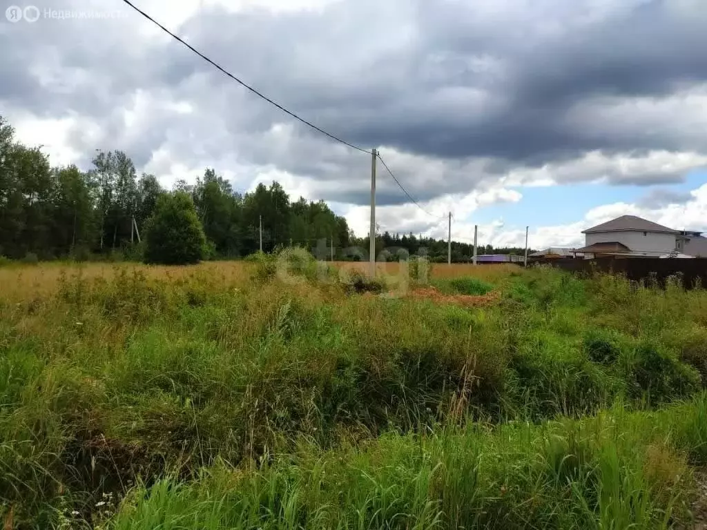 Участок в Московская область, Рузский муниципальный округ, деревня ... - Фото 1