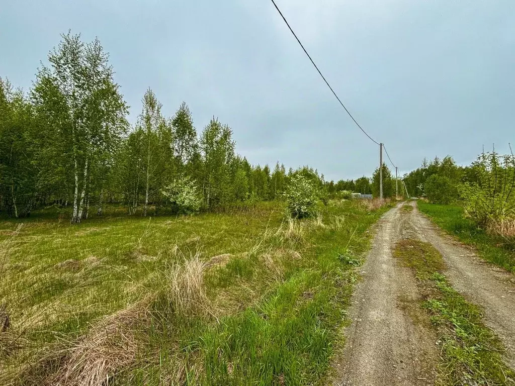 Участок в Челябинская область, Сосновский муниципальный округ, пос. ... - Фото 1
