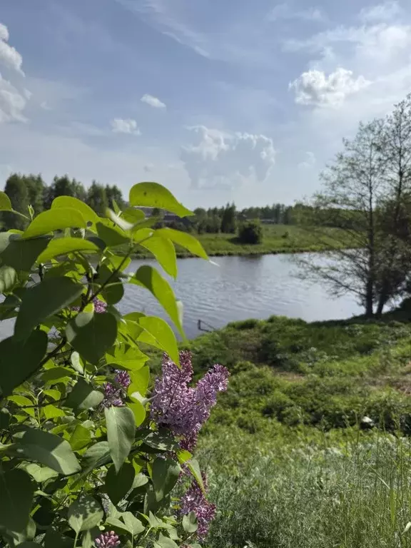 Дом в Московская область, Богородский городской округ, д. Пешково 9 ... - Фото 1