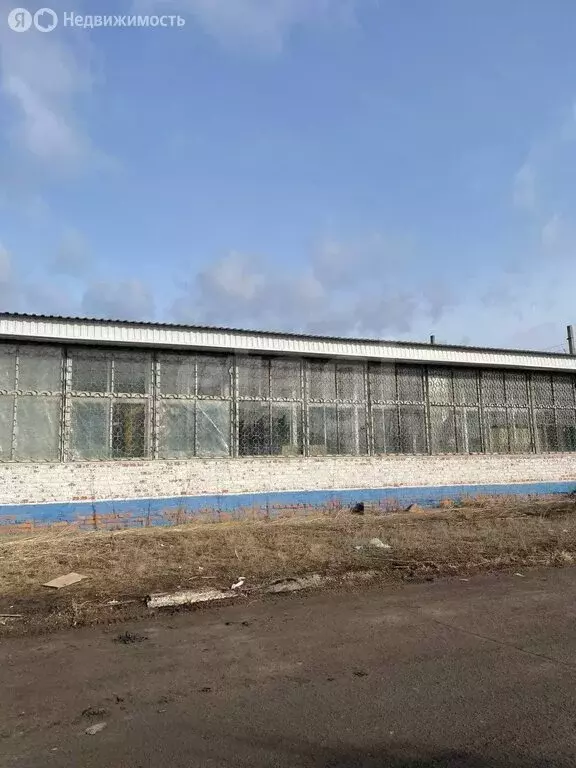 Помещение свободного назначения (224.8 м) - Фото 2