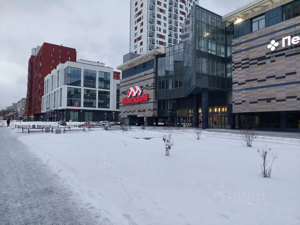 Торговая площадь в Свердловская область, Екатеринбург ул. Тверитина, ... - Фото 0