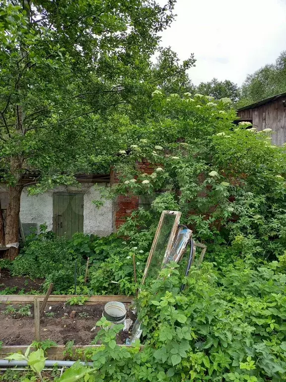 2-к. квартира, 48 м, 1/2 эт. - Фото 0