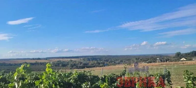 Участок в Краснодарский край, Отрадненское с/пос, Садовый хут. ул. ... - Фото 2