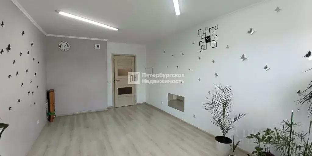 Студия Ленинградская область, Ломоносовский район, Виллозское ... - Фото 2