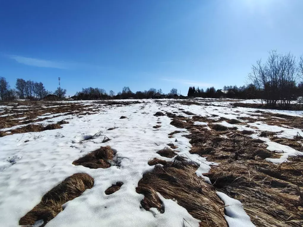 Участок в Московская область, Лотошино муниципальный округ, д. ... - Фото 1