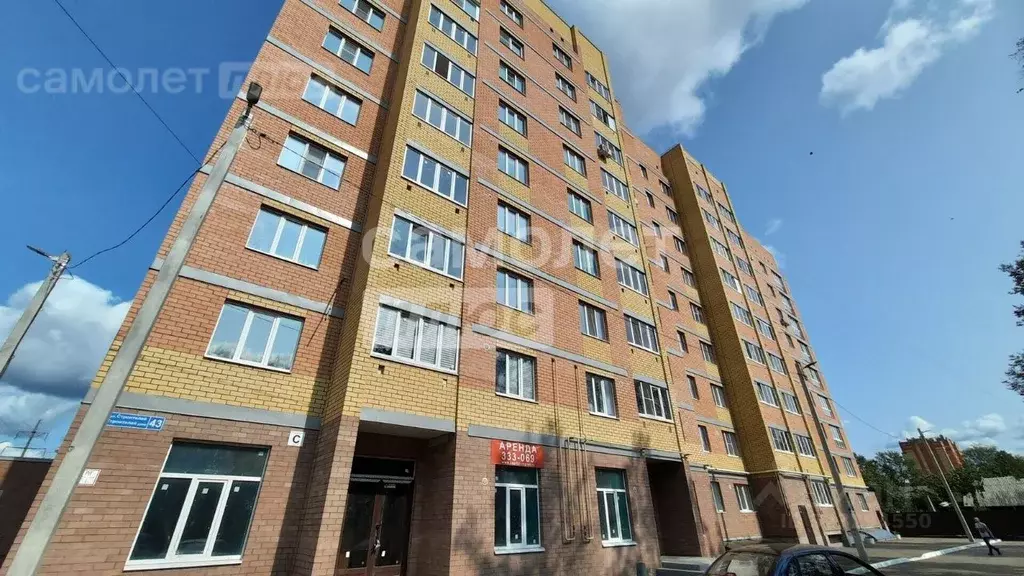 1-к кв. Марий Эл, Йошкар-Ола ул. Строителей, 43 (38.9 м) - Фото 2