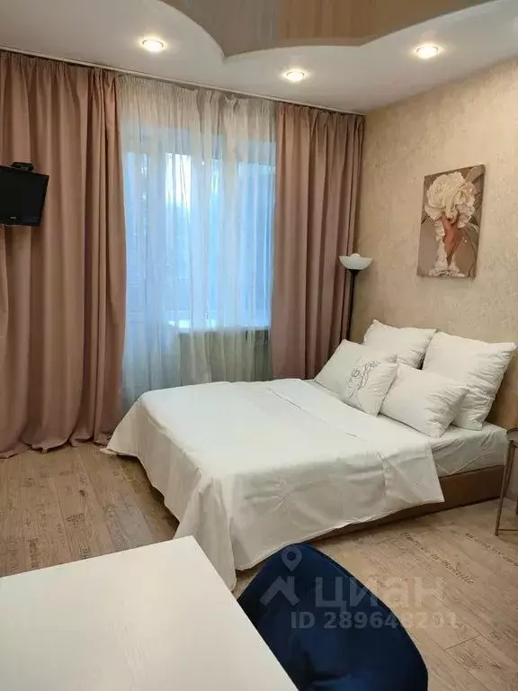 1-к кв. Свердловская область, Екатеринбург просп. Ленина, 40 (30.0 м) - Фото 1