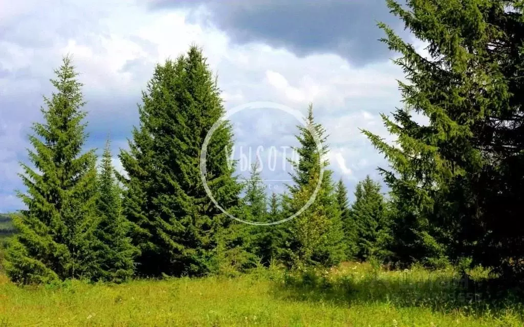 Участок в Московская область, Одинцовский городской округ, д. ... - Фото 1