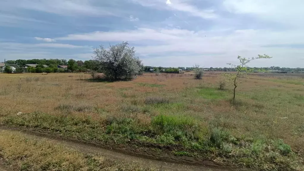 Участок в Волгоградская область, Среднеахтубинский район, Кировское ... - Фото 1