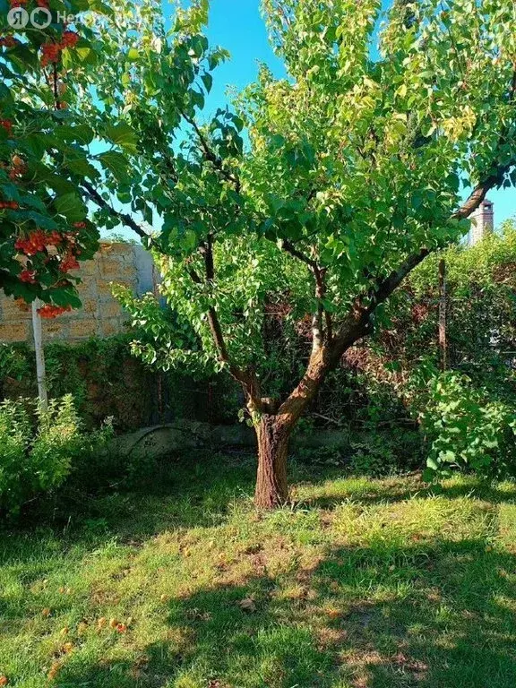 Дом в Республика Крым, посёлок городского типа Черноморское (86.1 м) - Фото 1