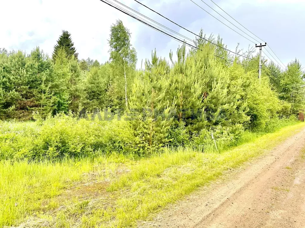 Участок в Ярославская область, Переславль-Залесский муниципальный ... - Фото 1