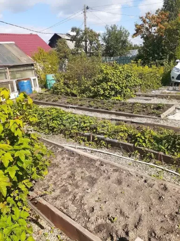 Участок в Свердловская область, Нижний Тагил Роща СНТ, ул. 3-я, 124 ... - Фото 0