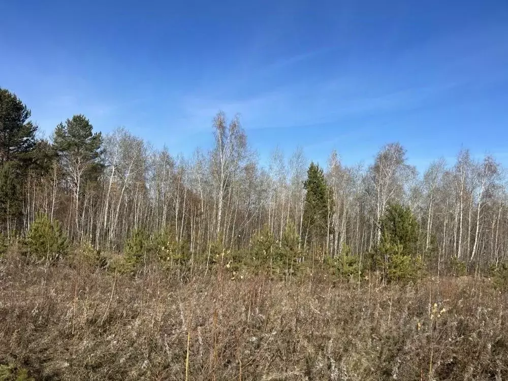 Участок в Иркутская область, Иркутский муниципальный округ, с. ... - Фото 0