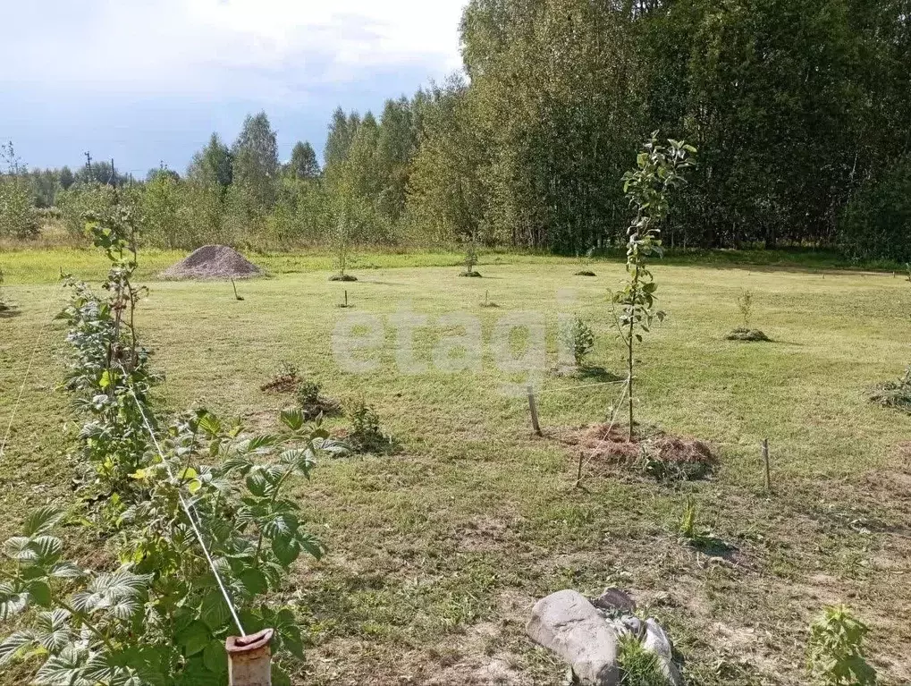 Участок в Костромская область, Красносельский район, Боровиковское ... - Фото 0