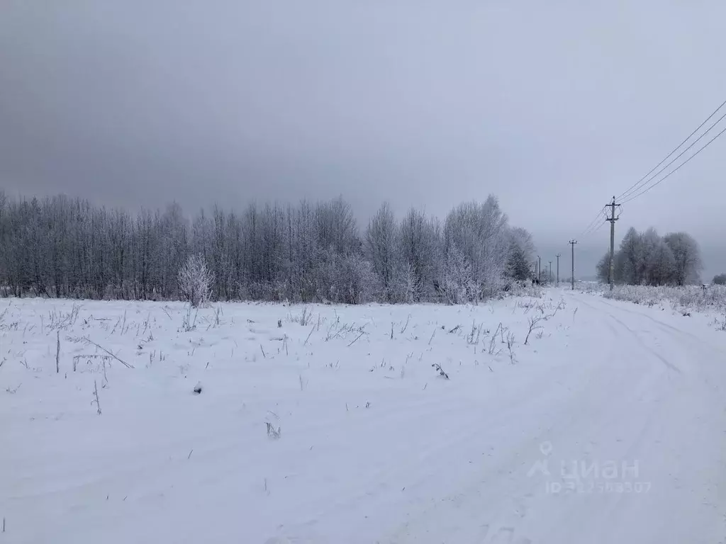 Участок в Ленинградская область, Гатчинский муниципальный округ, д. ... - Фото 1