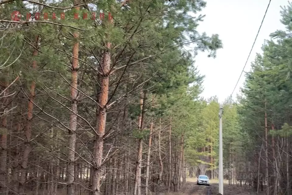 Участок в Самарская область, Волжский район, Курумоч с/пос, пос. ... - Фото 1
