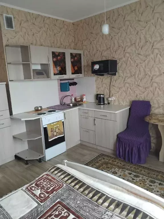Студия Хакасия, Абакан ул. Торосова, 7к1 (24.0 м) - Фото 1