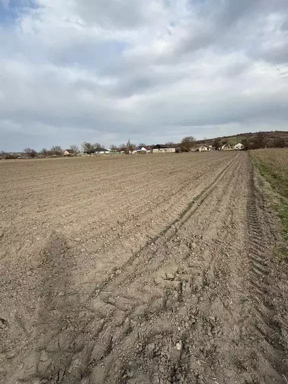 Участок в Краснодарский край, Крымский район, Адагумское с/пос, ... - Фото 1
