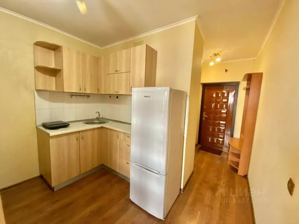 Студия Новосибирская область, Новосибирск Березовая ул., 15 (18.0 м) - Фото 1