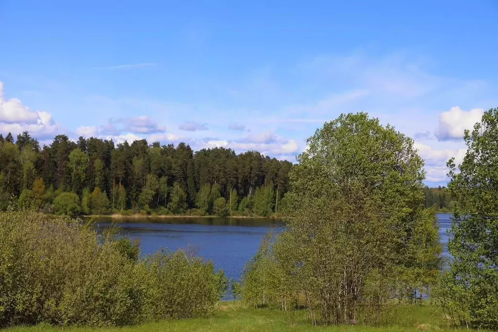 Участок в Московская область, Волоколамский муниципальный округ, КП ... - Фото 1