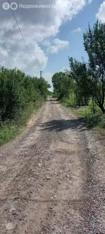 Участок в Дзержинское сельское поселение, СНТ Содружество (9.48 м) - Фото 1