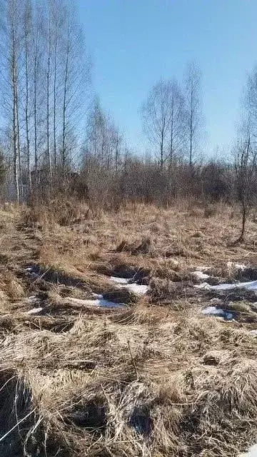 Участок в Вологодская область, Вологда Медик садоводческое ... - Фото 2