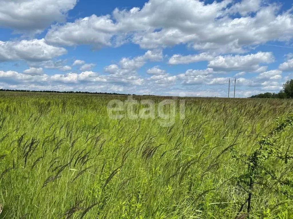Участок в Тульская область, Тула городской округ, д. Дементеево, ... - Фото 1