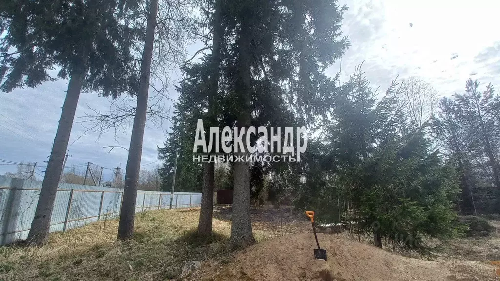 Дом в Ленинградская область, Выборгский район, Рощинское городское ... - Фото 1