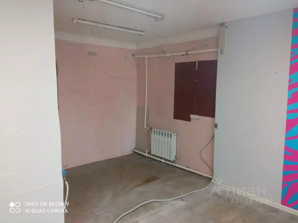 Помещение свободного назначения в Липецкая область, Липецк Дачный мкр, ... - Фото 1