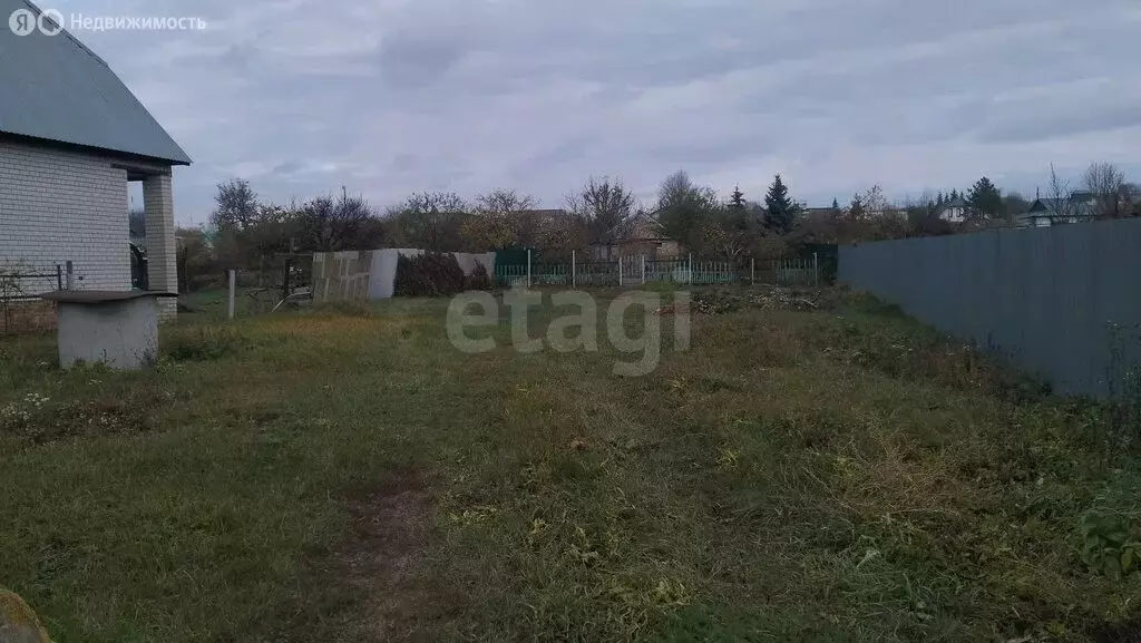Участок в Воскресенский район, Елшанское муниципальное образование, ... - Фото 1