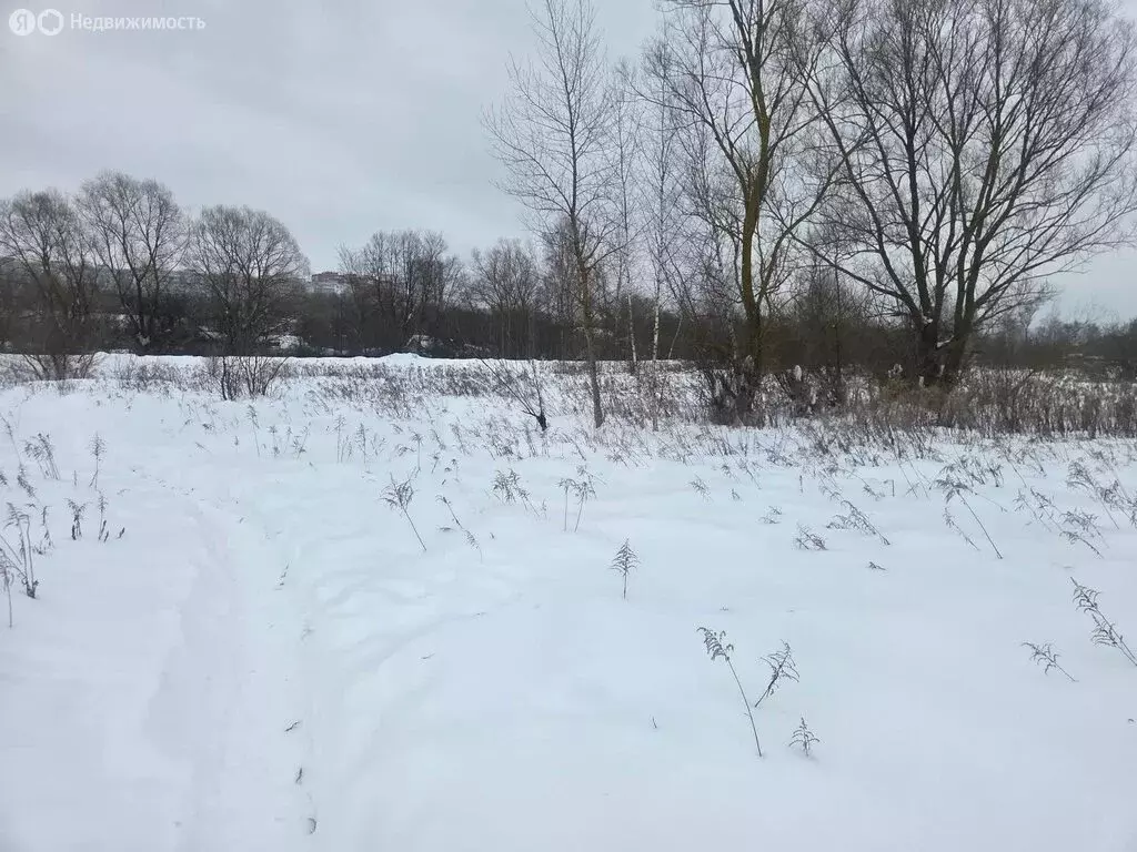 Участок в Тульская область, городской округ Тула, деревня Нижняя ... - Фото 2