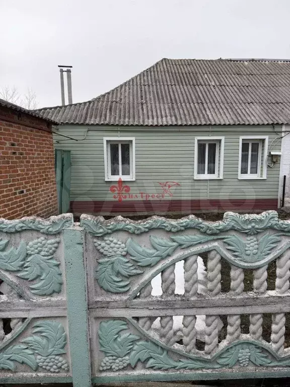 Дом в Белгородская область, Яковлевский муниципальный округ, с. ... - Фото 1