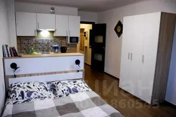 1-к кв. Санкт-Петербург просп. Энергетиков, 9 (25.0 м) - Фото 0