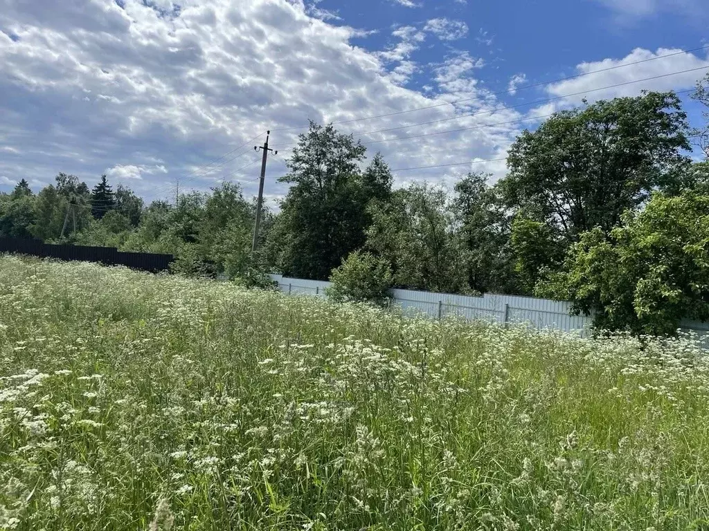 Участок в Московская область, Солнечногорск городской округ, д. ... - Фото 2