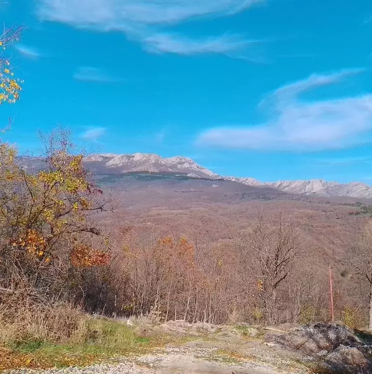 Участок в Крым, Алушта муниципальный округ, с. Генеральское ул. ... - Фото 0