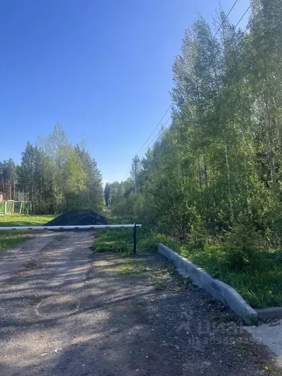 Участок в Ленинградская область, Всеволожское городское поселение  ... - Фото 1