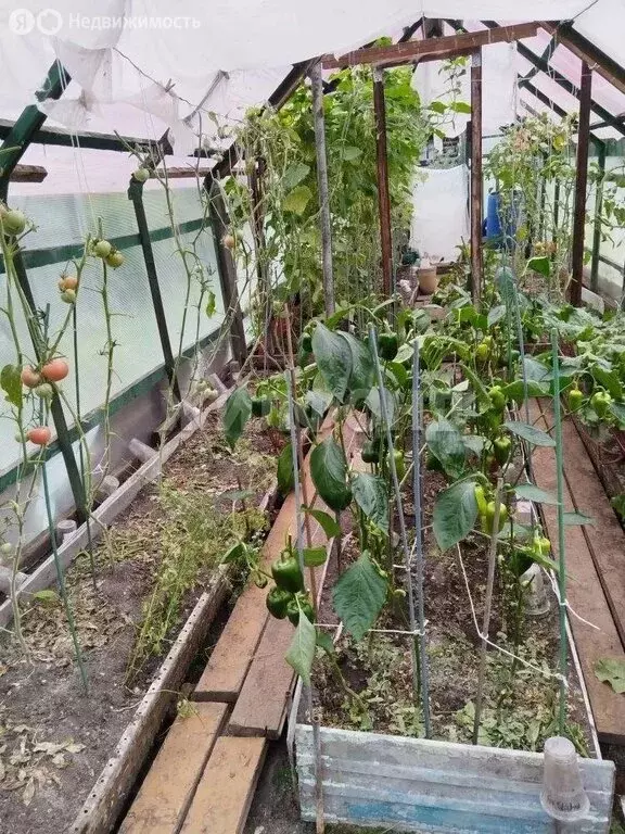 Дом в Нижний Тагил, Торфяная улица (64 м) - Фото 1