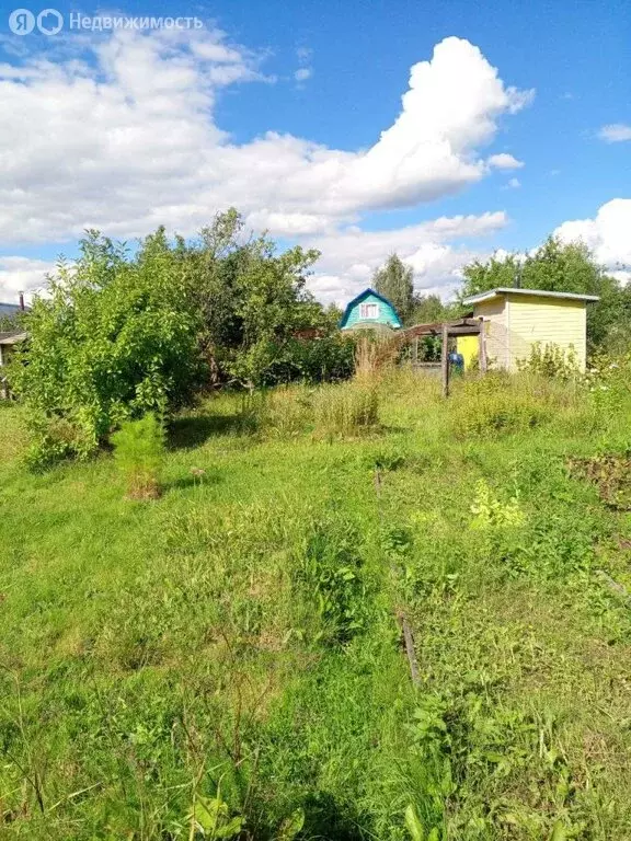 Участок в Вологодская область, Шекснинский муниципальный округ, ... - Фото 0