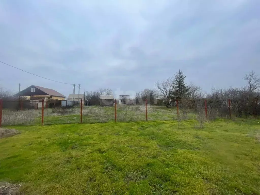 Участок в Ростовская область, Азовский район, Новоалександровское ... - Фото 1