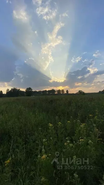 Участок в Московская область, Раменский городской округ, д. Нижнее ... - Фото 0