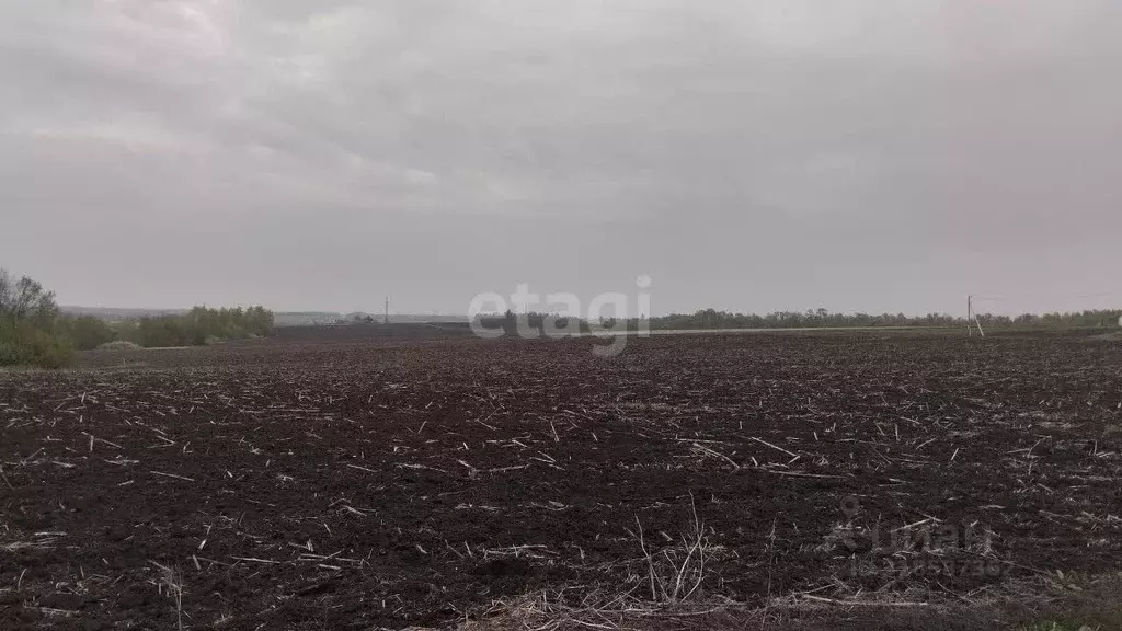 Участок в Белгородская область, Белгородский район, Дубовское с/пос, ... - Фото 0