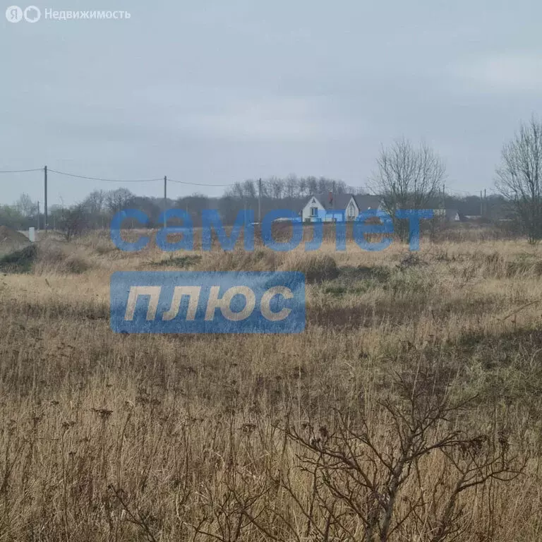 Участок в Калининградская область, Зеленоградский муниципальный округ, ... - Фото 1