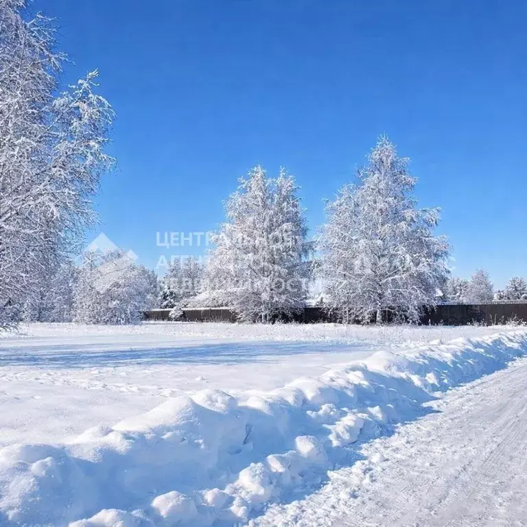 Участок в Рязанская область, Рязанский муниципальный округ, с. ... - Фото 2