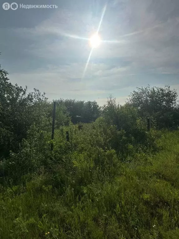 Участок в Саратов, СНТ Кумысная Поляна (12 м) - Фото 1