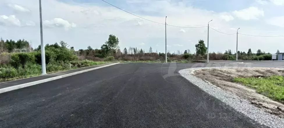 Участок в Тюменская область, Тюмень Царево садовое товарищество, ул. ... - Фото 1