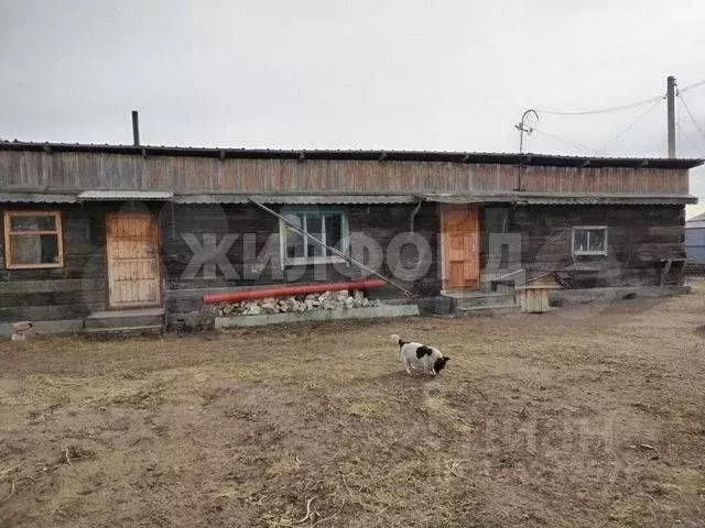 Дом в Забайкальский край, Борзя Песчаная ул., 3 (77 м) - Фото 2