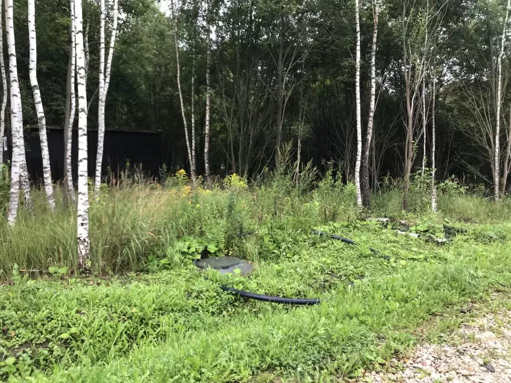 Участок в Тульская область, Заокский район, Страховское с/пос, д. ... - Фото 2
