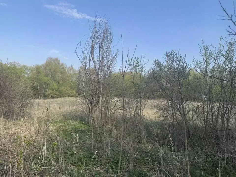 Участок в Московская область, Кашира городской округ, д. Кишкино  ... - Фото 0